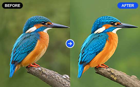 Clipping Path Gallery Image